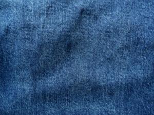 Needles H.D. Pants Jean